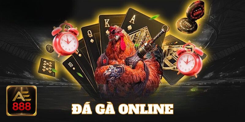 Đá gà ae888 - Nắm luật, mốc chốt kèo và tình huống đặc biệt